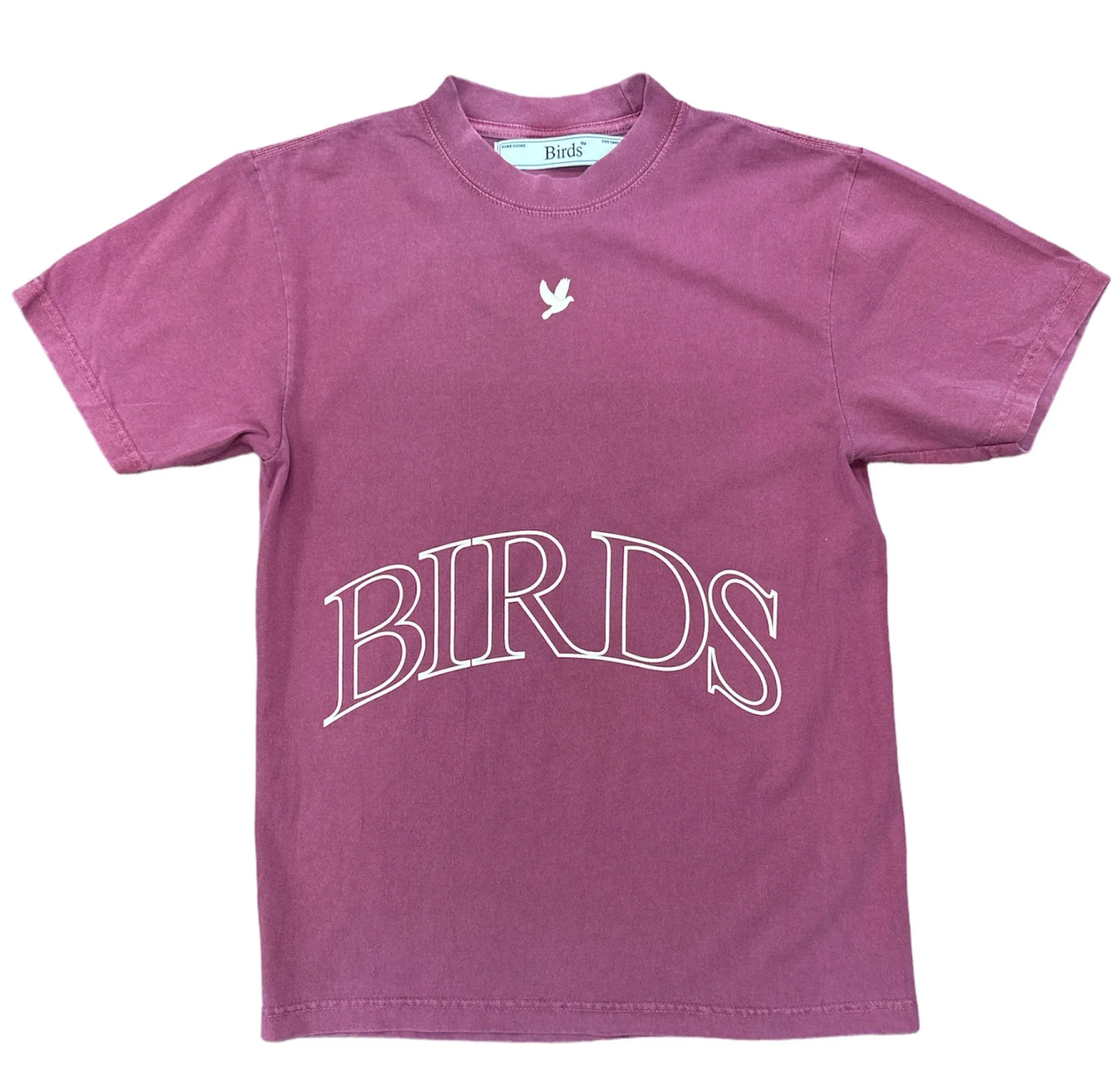 Birds "Banner" Washed Salmon Oversized S/S T-Shirt