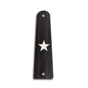 Custom Truss Rod Cover | Shape T14 - Fits Slotted Taylor Guitars