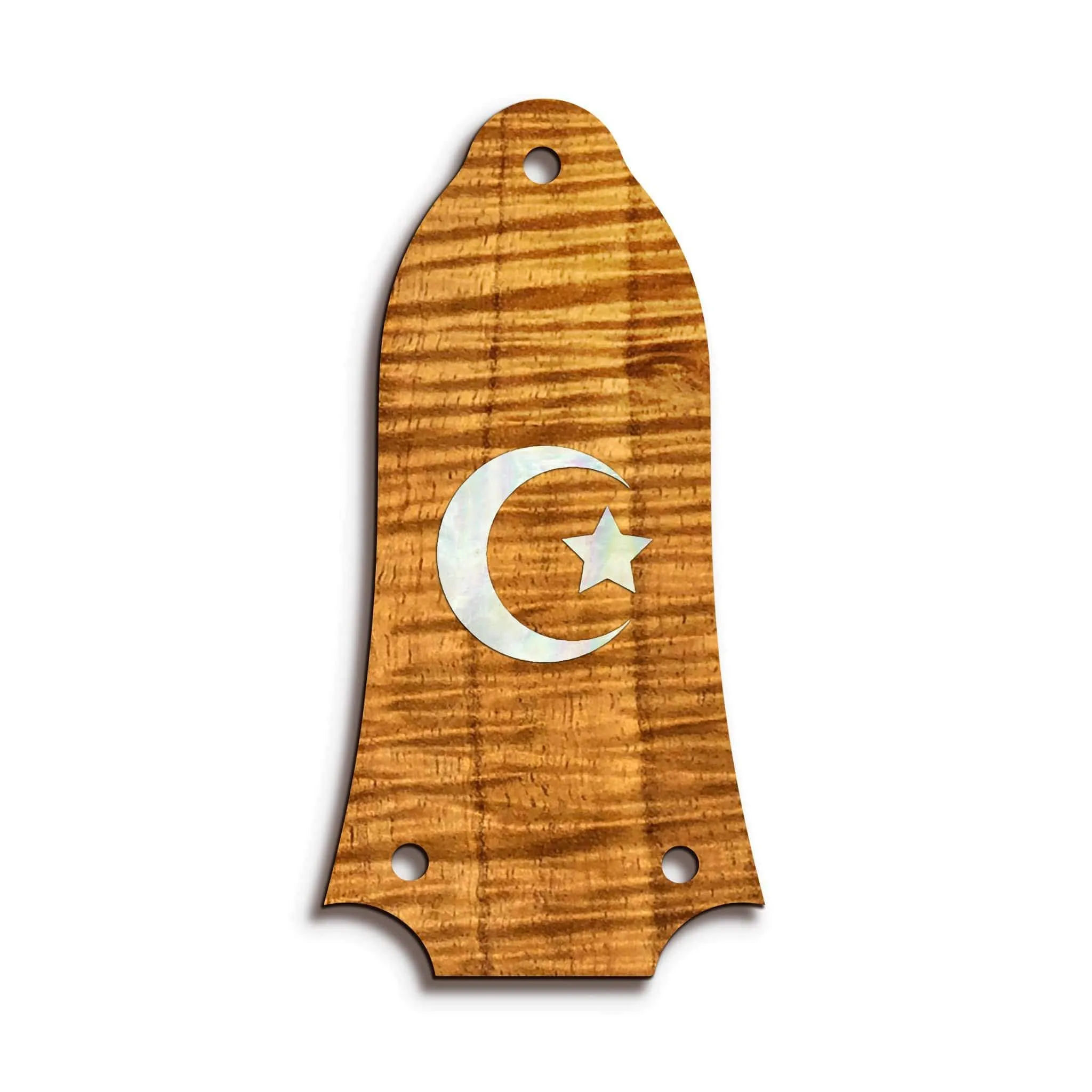 Custom Truss Rod Cover | Shape T6 - Fits Many Epiphone Guitars